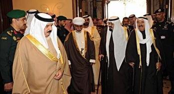 沙特王室爆料美国视频完整版,惊人内幕揭露与真相大白  第3张